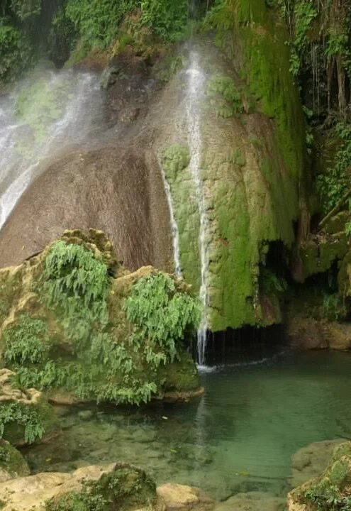 Casa Buscando a Caniqui gallery image 14