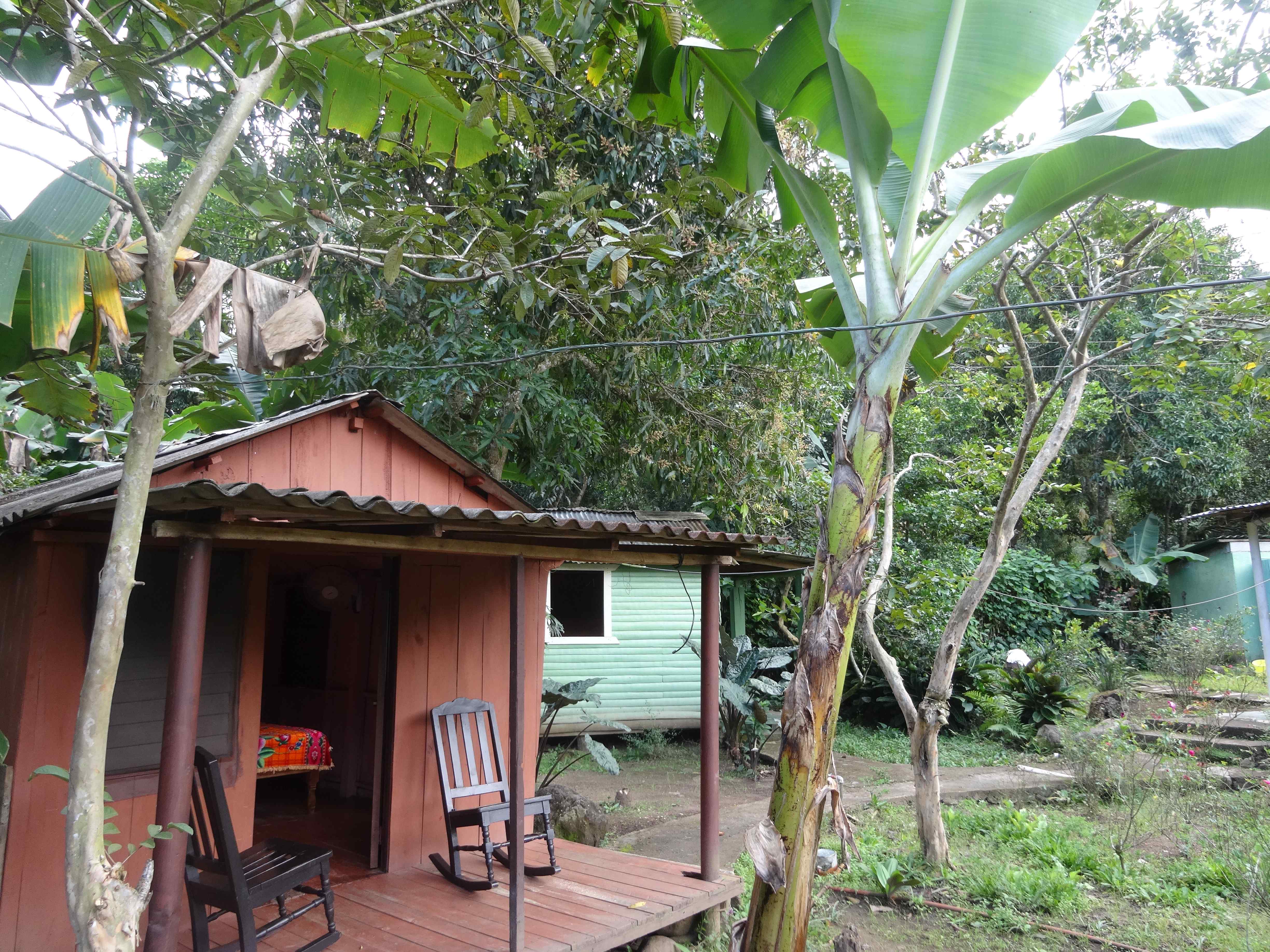 Casa Sierra Maestra gallery image 7