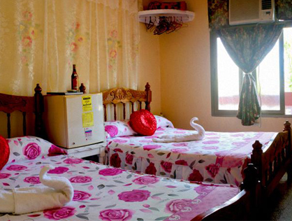 Hostal Casa Patricio cover image