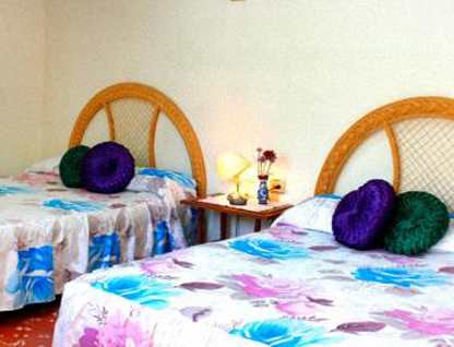 Hostal Cesar e Irelia cover image